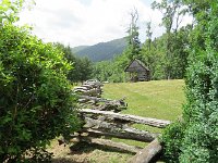 IMG 4118